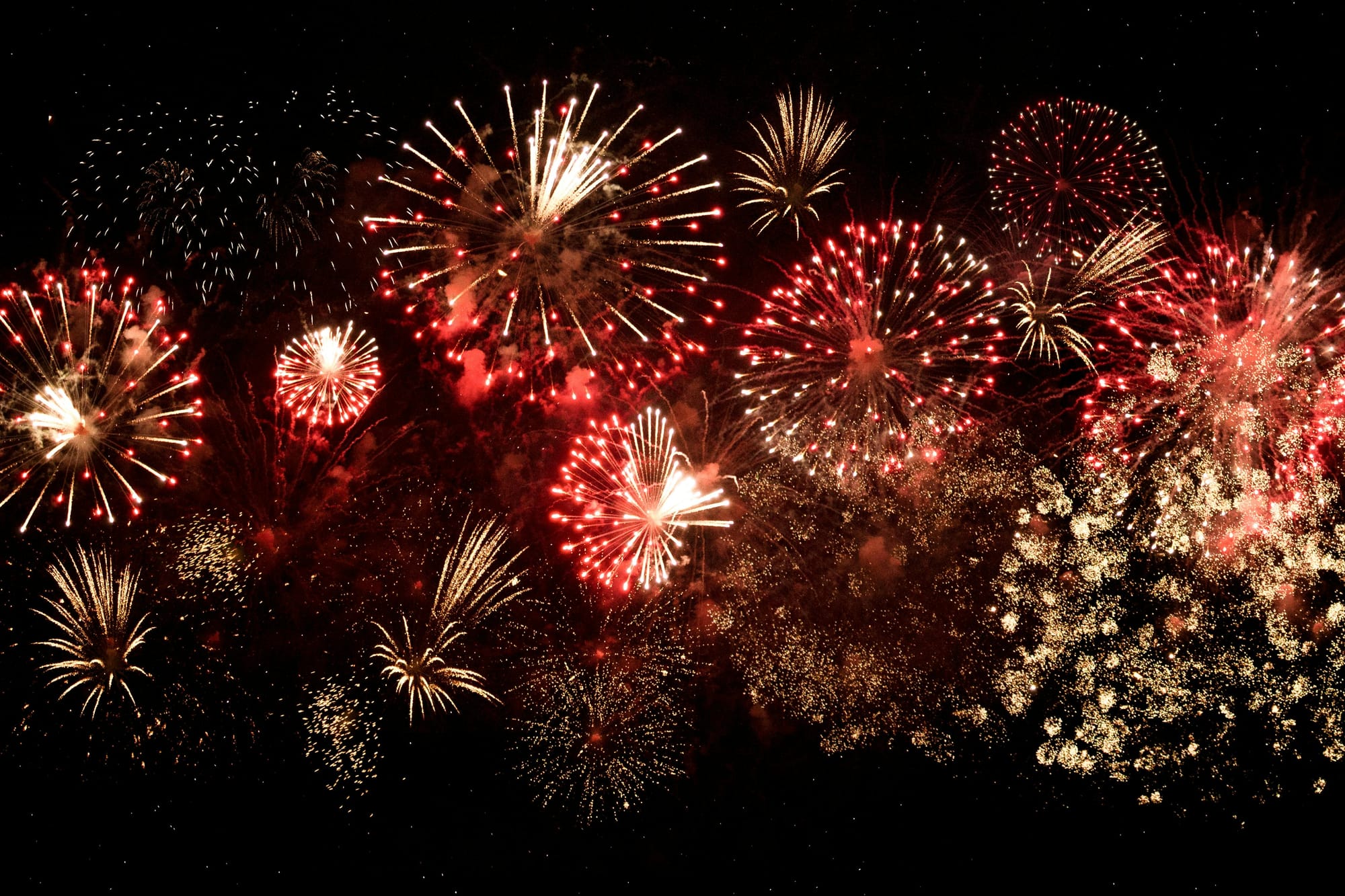 Black sky with red, yellow, and white fireworks exploding in sunbursts